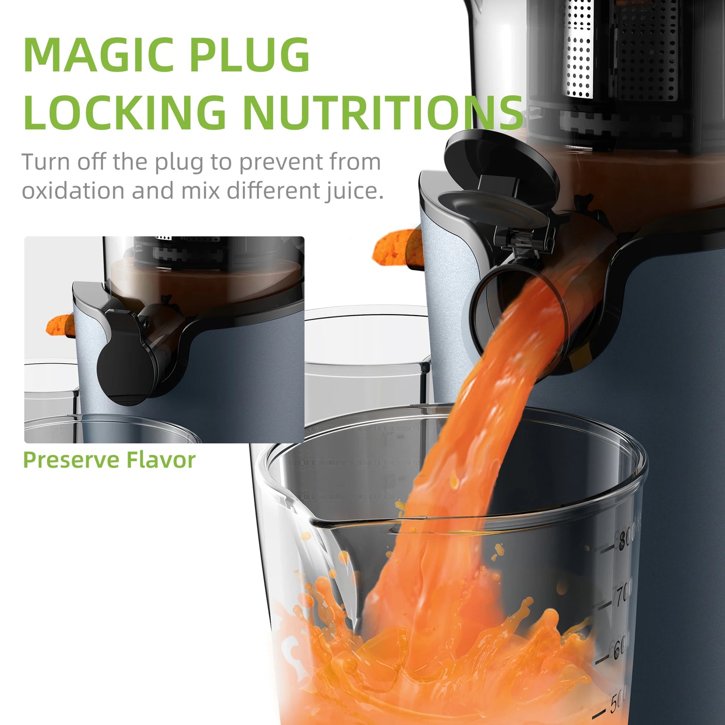 Biolomix Cold Press Slow Juicer 200W Masticating Extractor