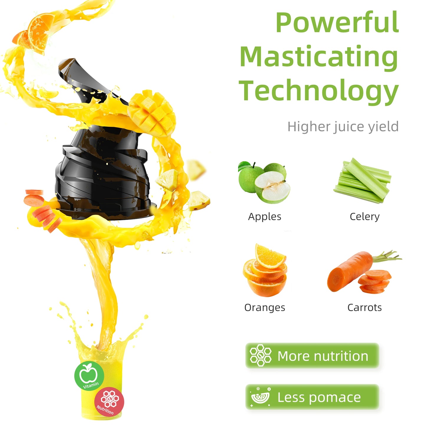 Biolomix Cold Press Slow Juicer 200W Masticating Extractor