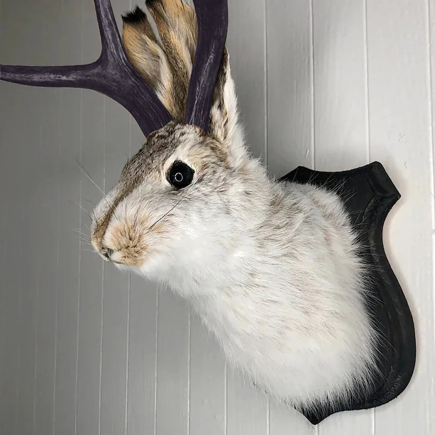 Bunny Head With Antlers Wall Decor Resin Taxidermy Ornament