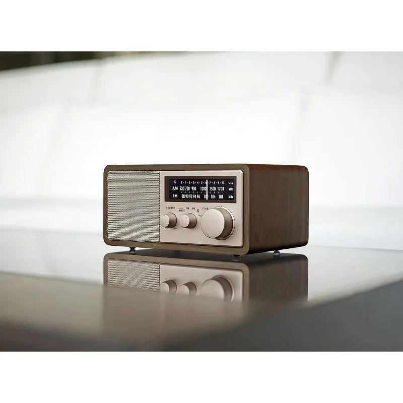 WR16SE AM FM Bluetooth USB Radio With Phone Charging