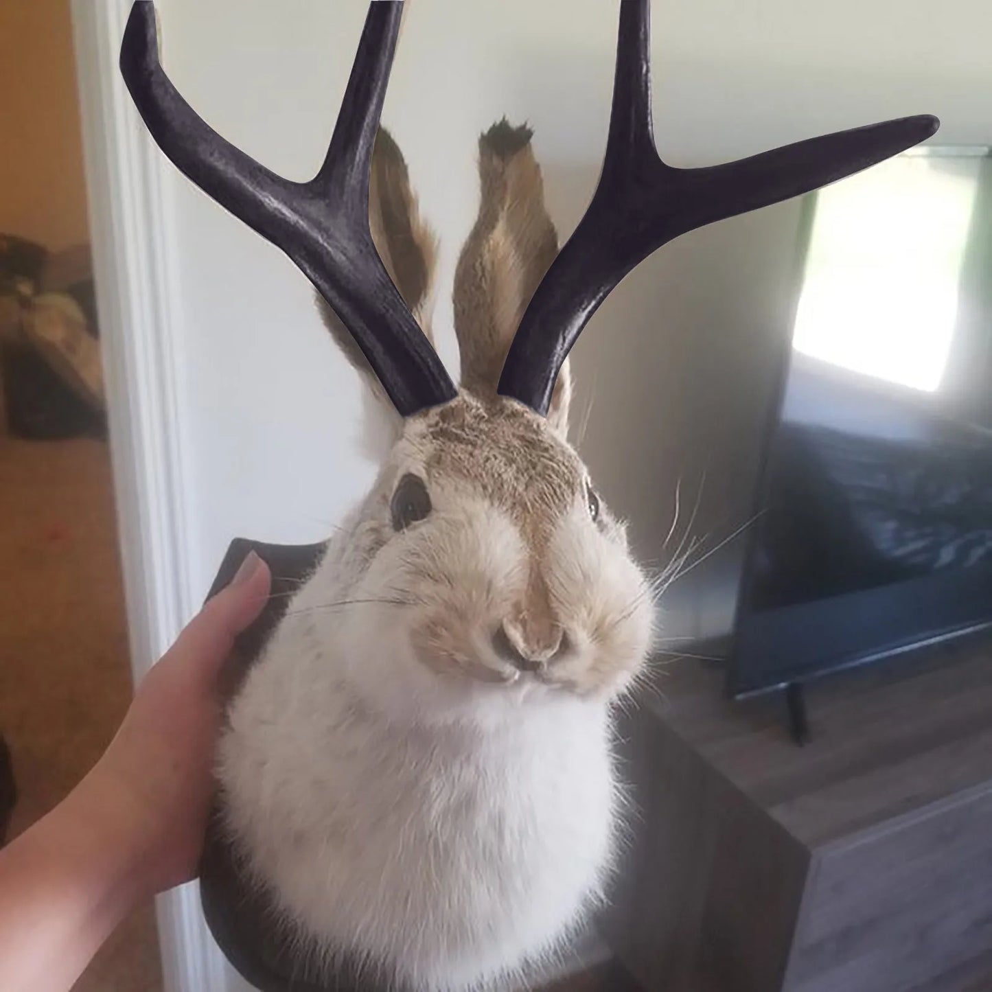 Bunny Head With Antlers Wall Decor Resin Taxidermy Ornament