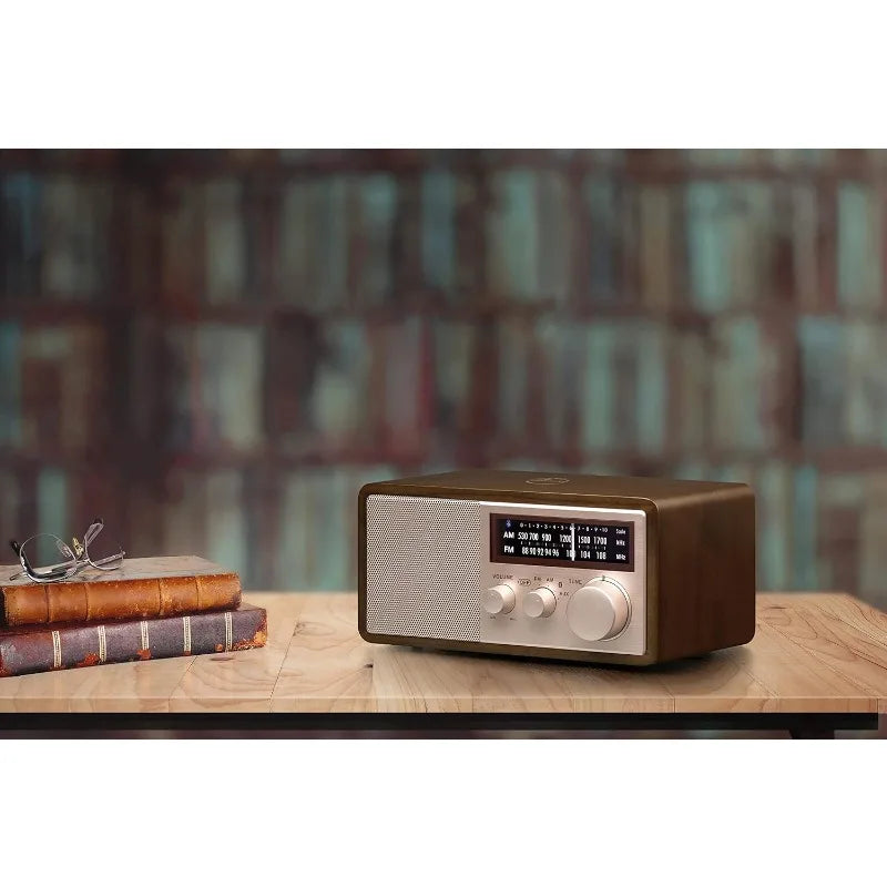 WR16SE AM FM Bluetooth USB Radio With Phone Charging