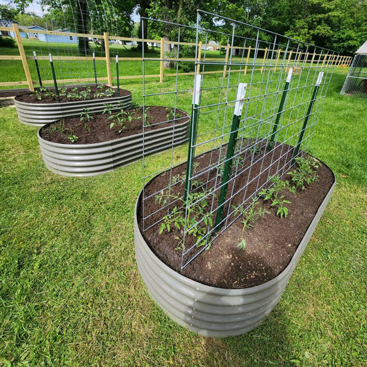 Tramull Galvanized Raised Garden Bed Oval Planter For Vegetables Herbs