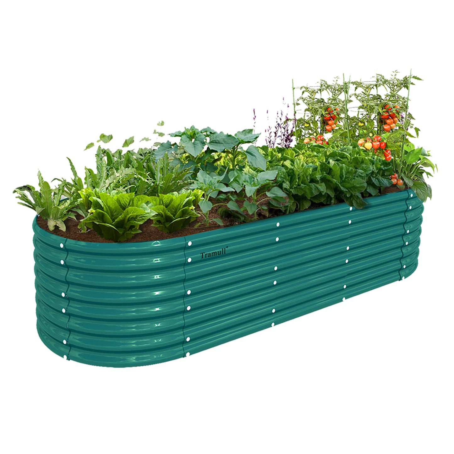 Tramull Galvanized Raised Garden Bed Kit For Vegetables Herbs Fruits