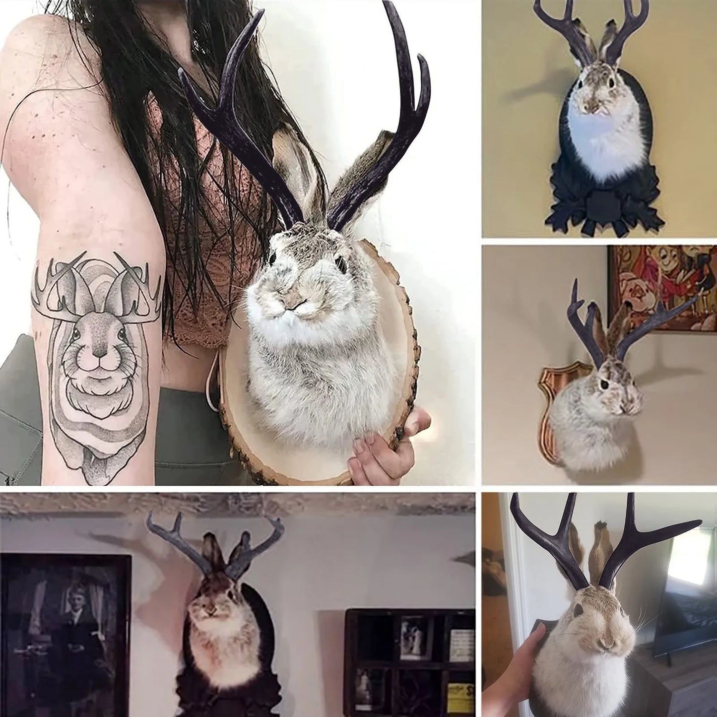 Bunny Head With Antlers Wall Decor Resin Taxidermy Ornament