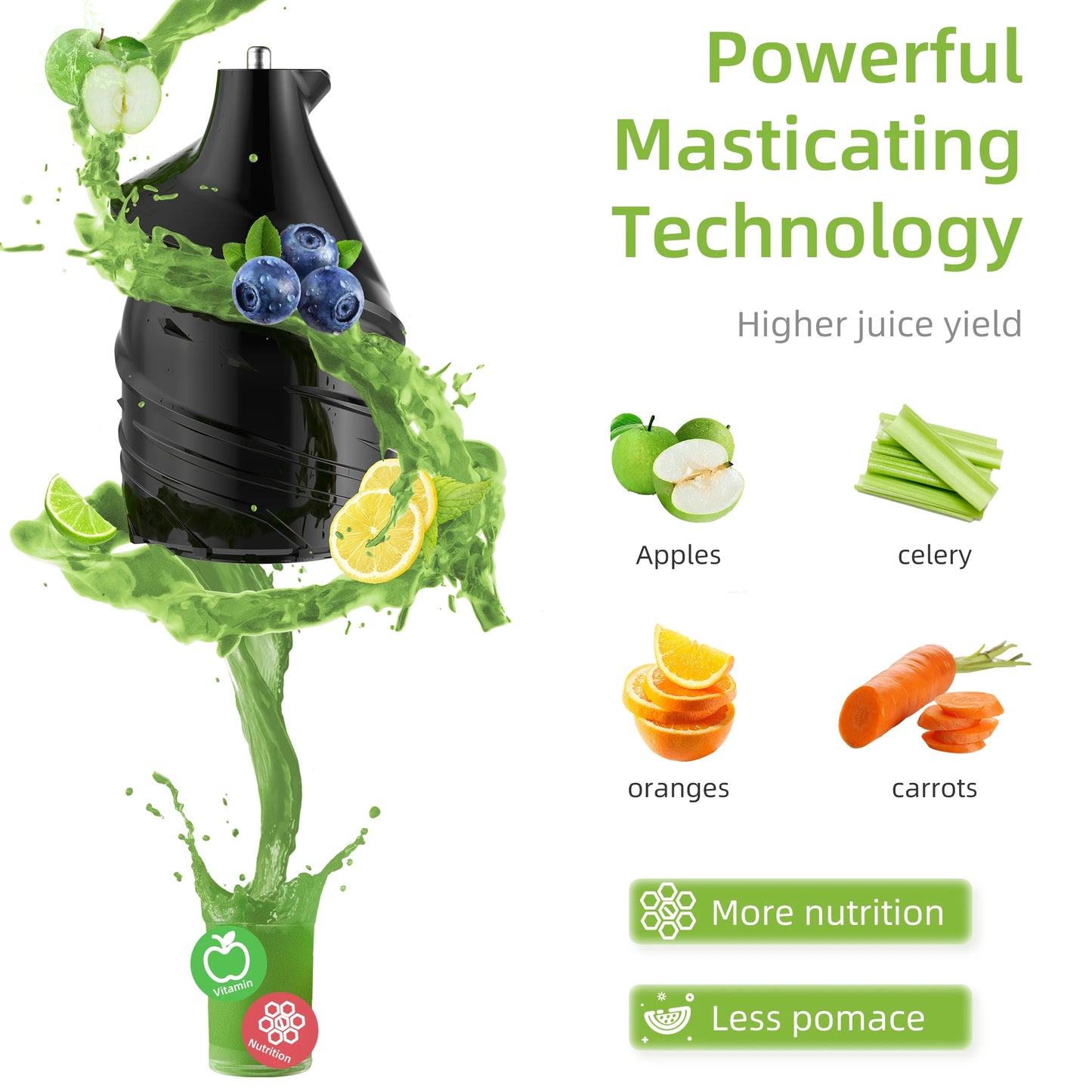 Biolomix Cold Press Juicer Slow Masticating Extractor For Whole Fruits